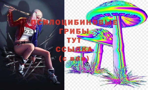 прущая мука Покачи