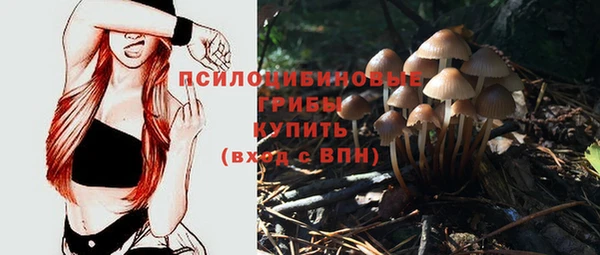 дмт Покров