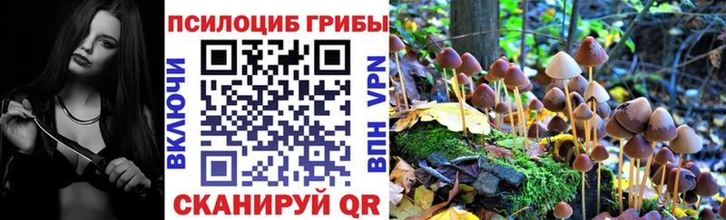 Галлюциногенные грибы мухоморы  Купить  Усть-Джегута 